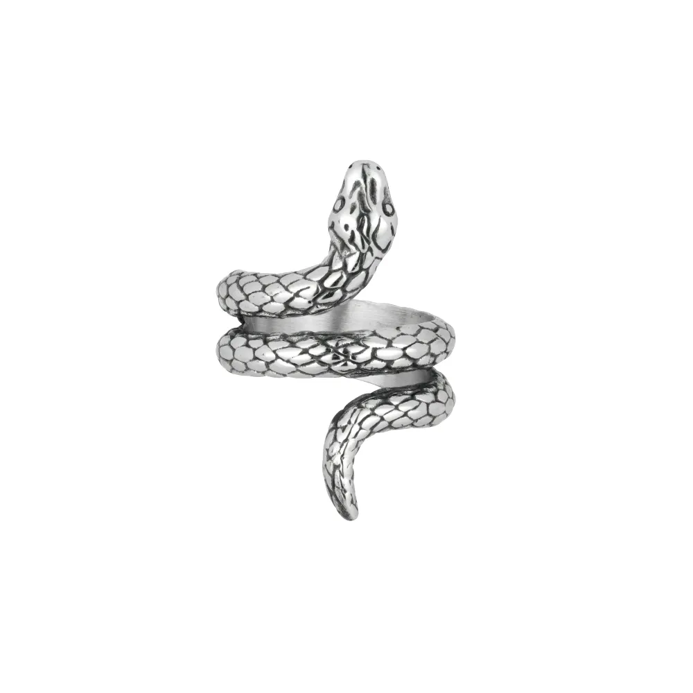 Snake Ring - Silver